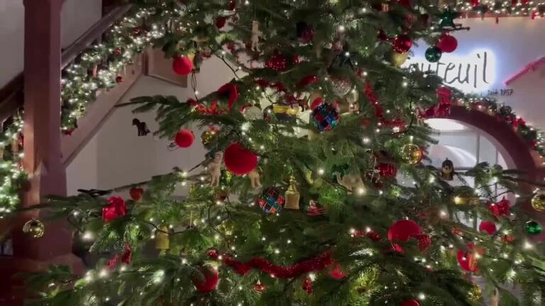 Unsere Dezember-Vorstellungen im Tabourettli